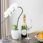 Hôtel Résidence Quintinie Square